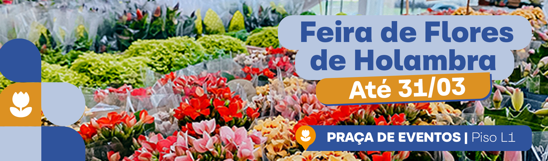 Feira de Flores